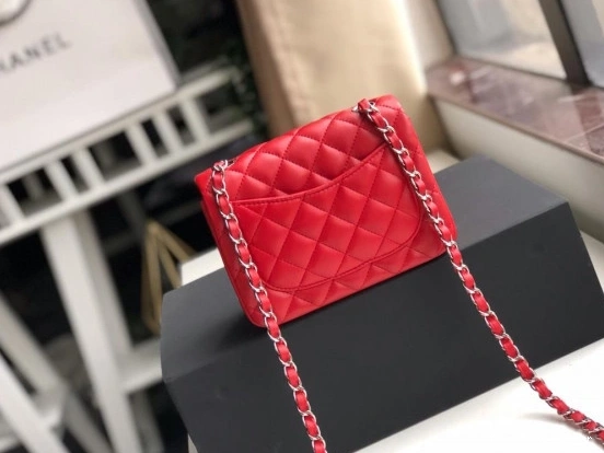 HyperPeter BAG CHANEL 17CM FLAP 0727